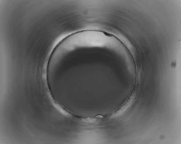 X0000102040862200808011509