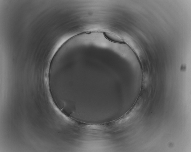 X0000102040863200808011509