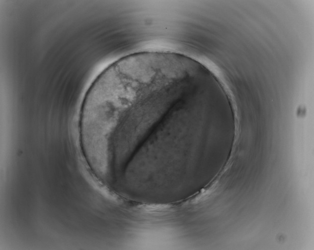 X0000102040864200808011509