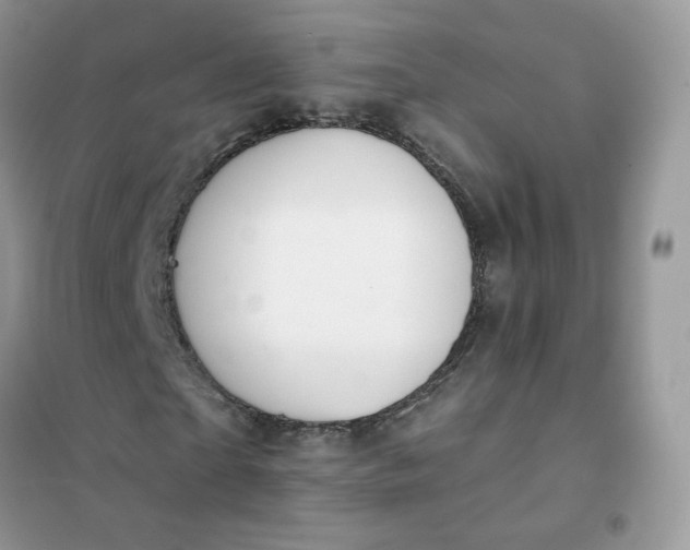 X0000102040865200808011508