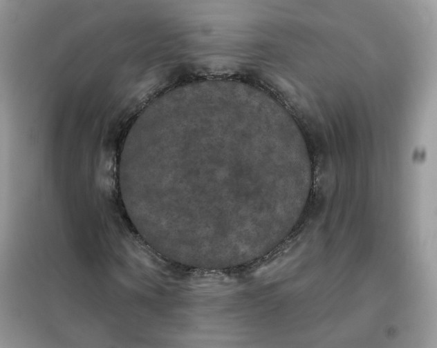 X0000102040866200808011508