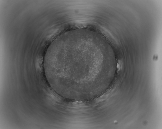 X0000102040867200808011508