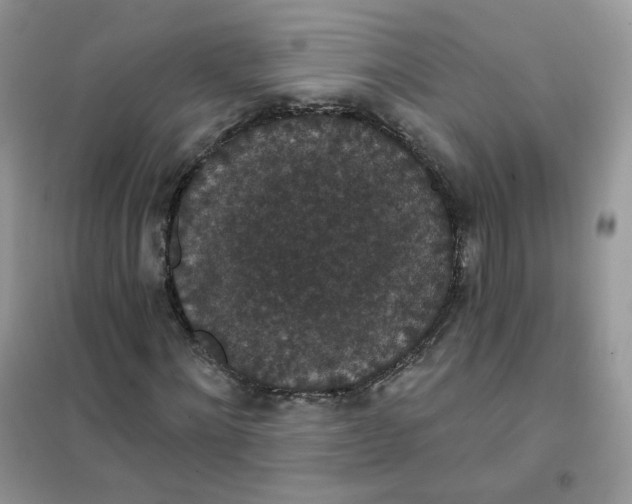 X0000102040868200808011508