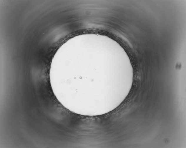 X0000102040869200808011508