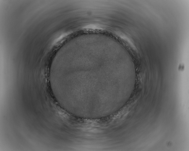 X0000102040870200808011508