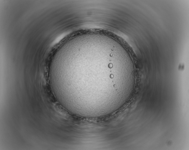 X0000102040871200808011508