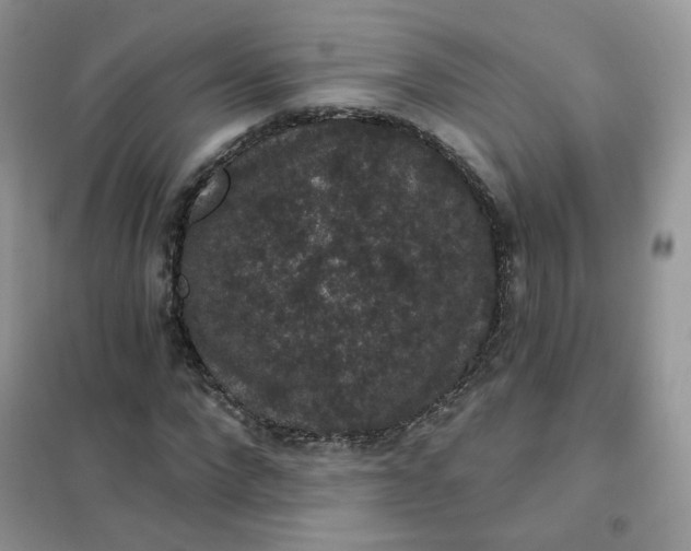 X0000102040872200808011508