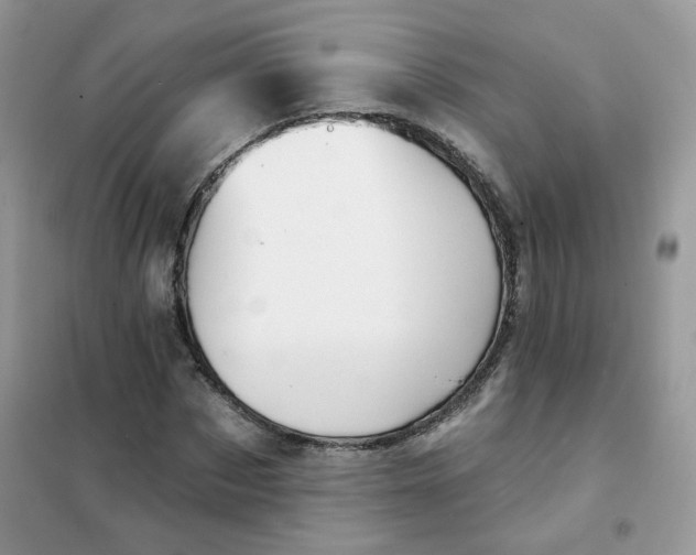 X0000102040873200808011508