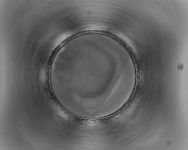 X0000102040874200808011508