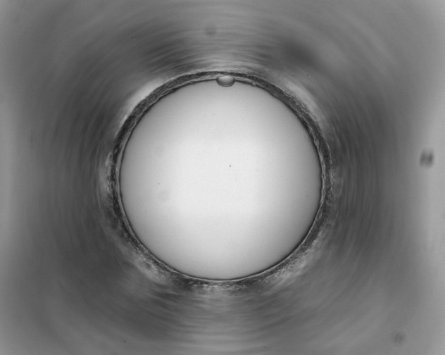 X0000102040875200808011508