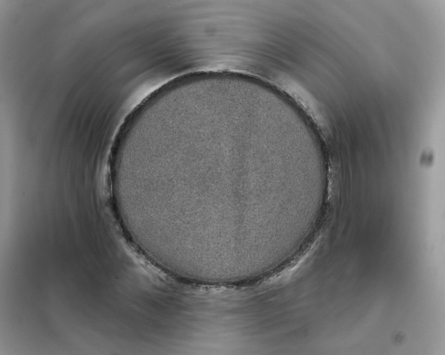 X0000102040876200808011508