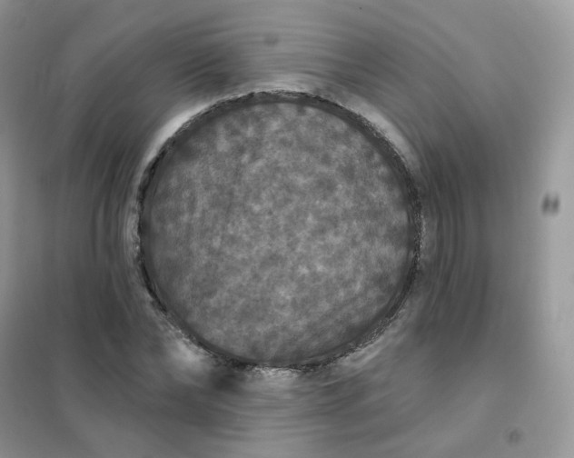 X0000102040878200808011508