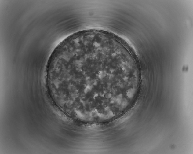 X0000102040879200808011508