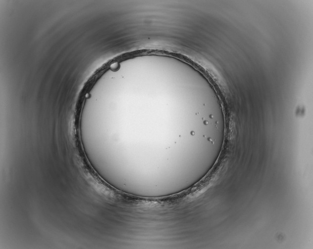 X0000102040880200808011508