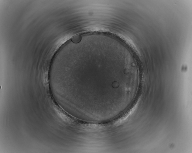 X0000102040881200808011508