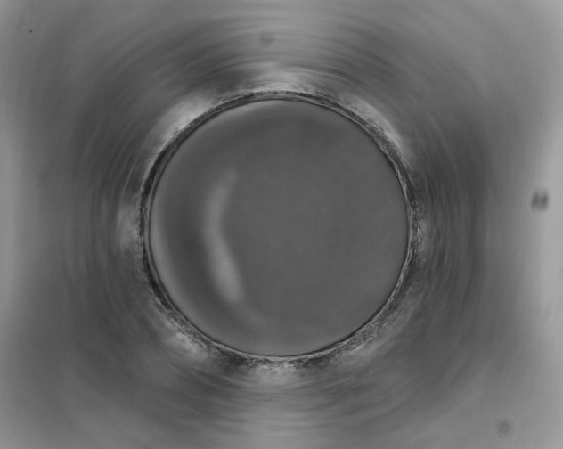 X0000102040882200808011508