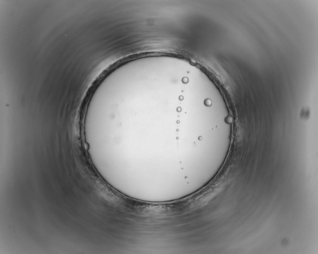 X0000102040883200808011508