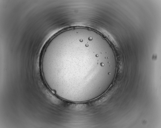 X0000102040884200808011508