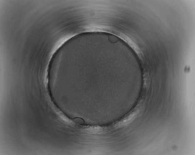 X0000102040885200808011508