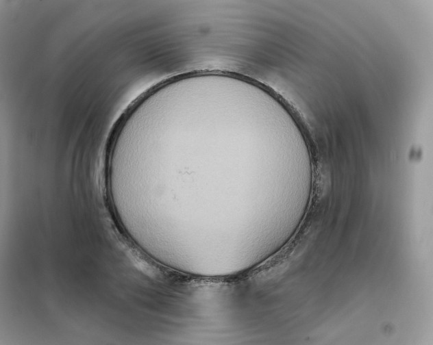 X0000102040886200808011508