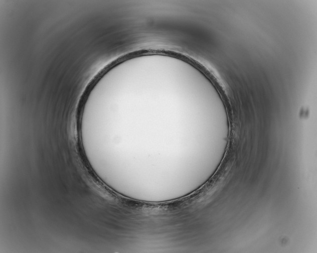 X0000102040887200808011508