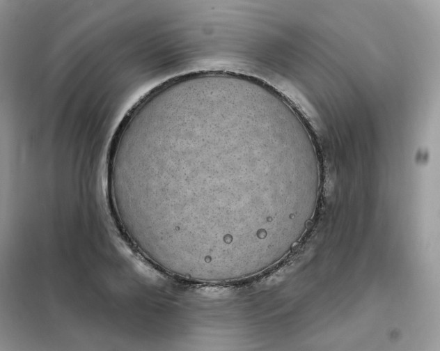 X0000102040888200808011508