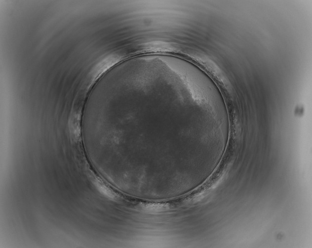 X0000102040889200808011508