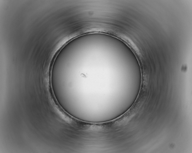 X0000102040890200808011508