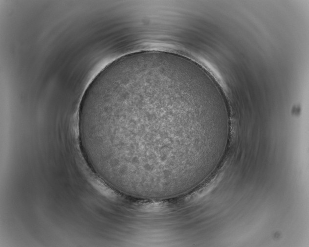 X0000102040891200808011508