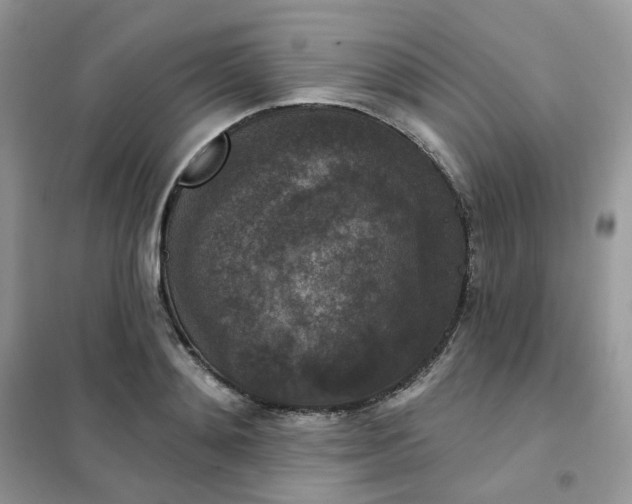 X0000102040892200808011508