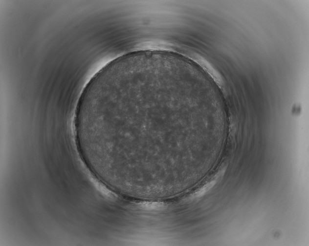 X0000102040893200808011508