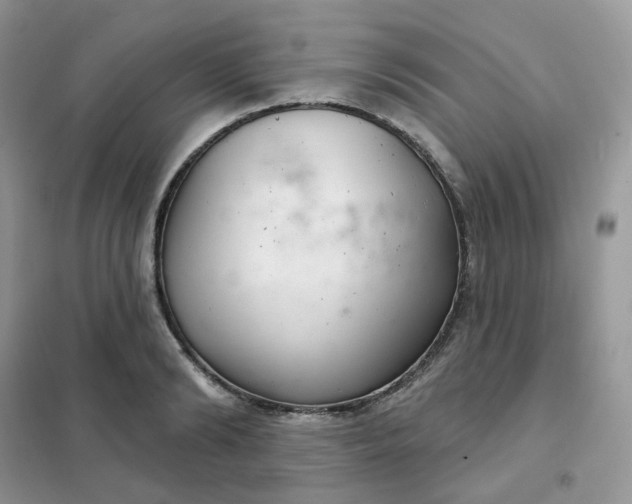 X0000102040894200808011508