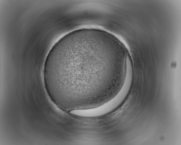 X0000102040895200808011507