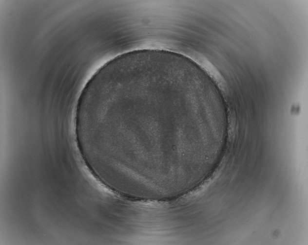 X0000102040896200808011507