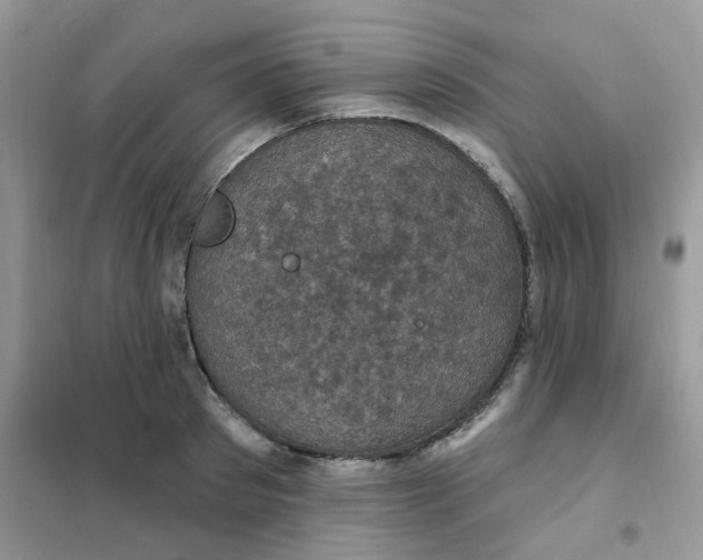 X0000102040897200808011507