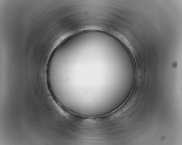 X0000102040898200808011507