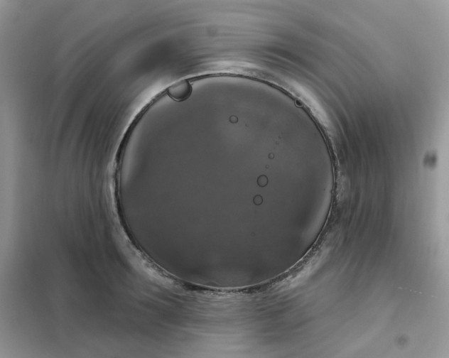 X0000102040899200808011507