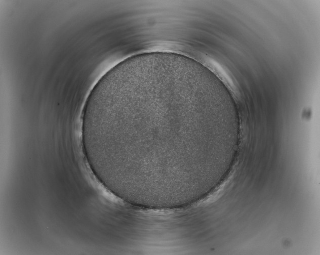 X0000102040900200808011507