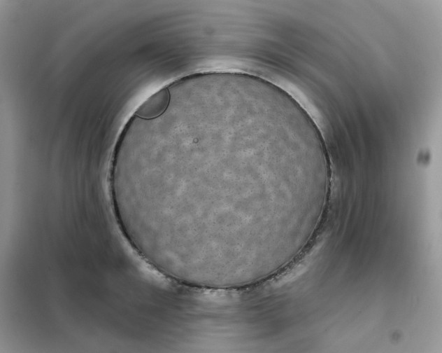 X0000102040901200808011507