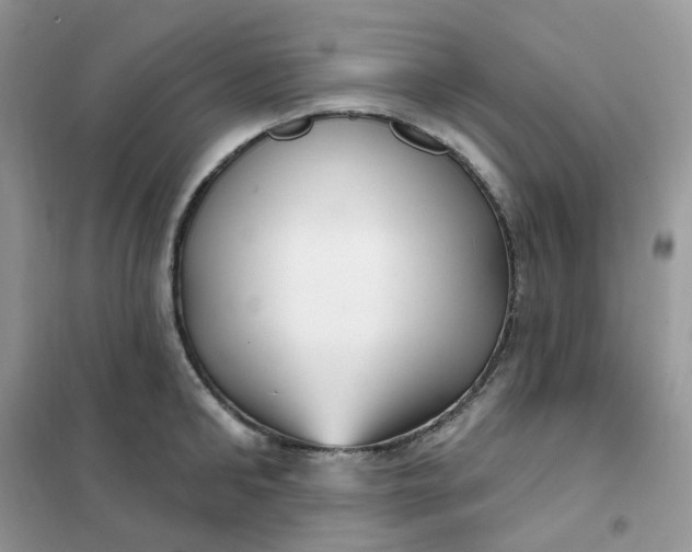 X0000102040902200808011507