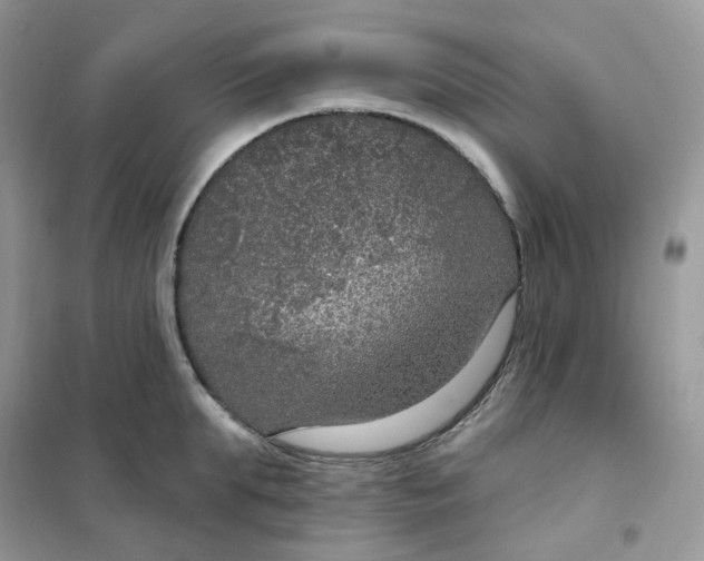 X0000102040903200808011507