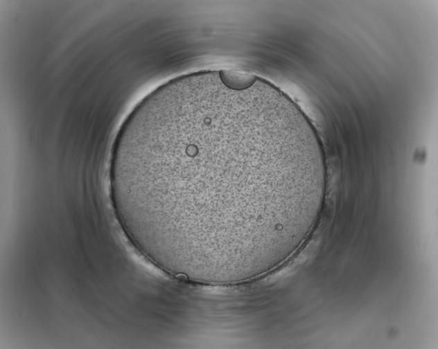 X0000102040904200808011507