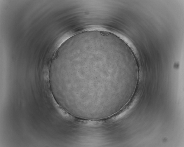 X0000102040905200808011507