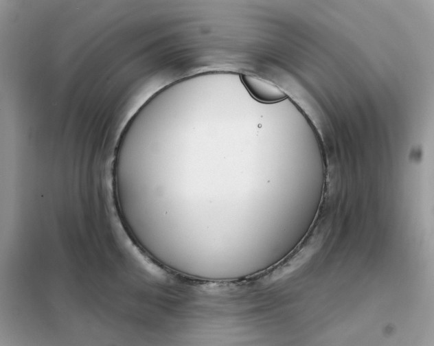 X0000102040906200808011507