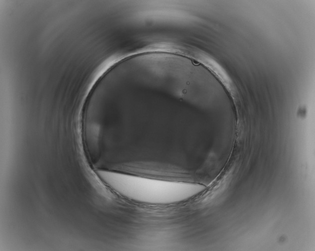 X0000102040907200808011507