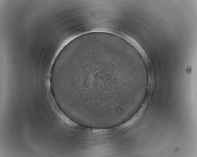 X0000102040908200808011507