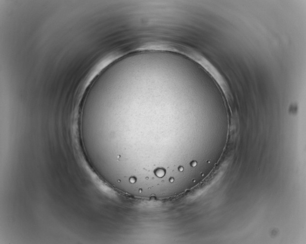 X0000102040909200808011507