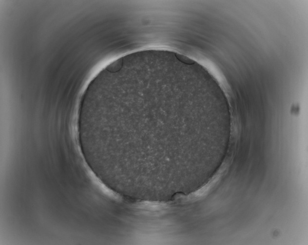 X0000102040910200808011507