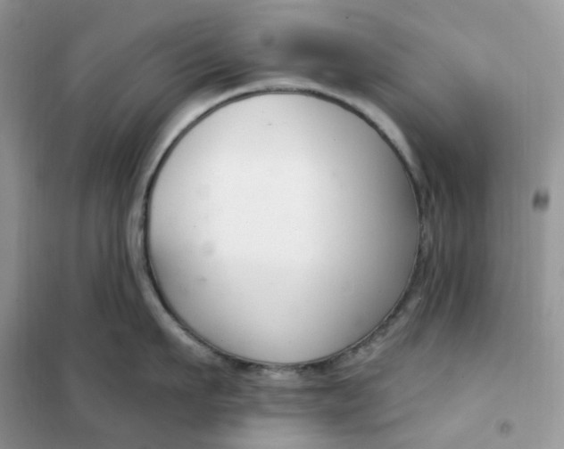 X0000102040911200808011507