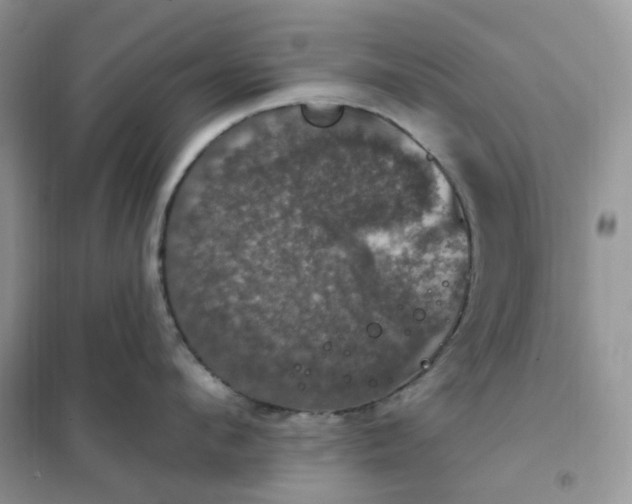 X0000102040912200808011507